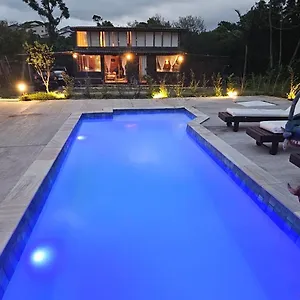 Joaka , Florianópolis Brasil